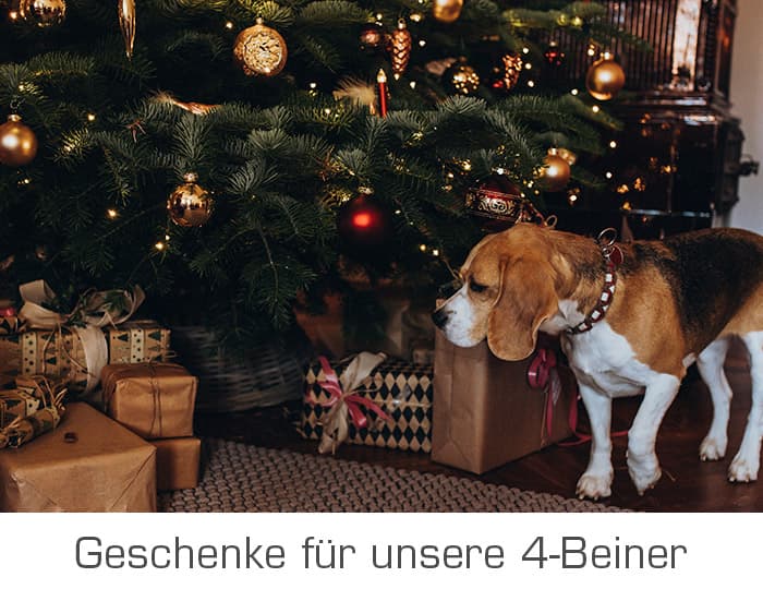 Geschenke für unsere 4-Beiner auf jelmoli-shop.ch