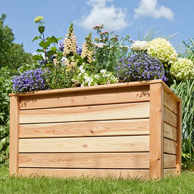 Blumen blühen in einem Holzkasten im Garten bei sonnigem Wetter.