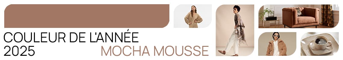 Couleur de l'Annee 2025 Mocha Mousse