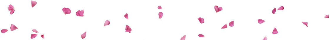 Rose petals scattered on a white background.