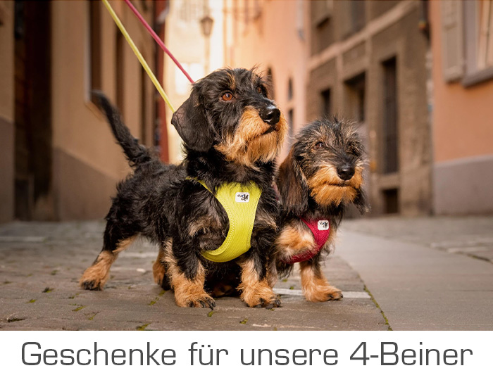 Geschenke für unsere 4-Beiner